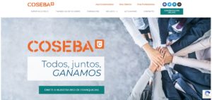 renovación web coseba