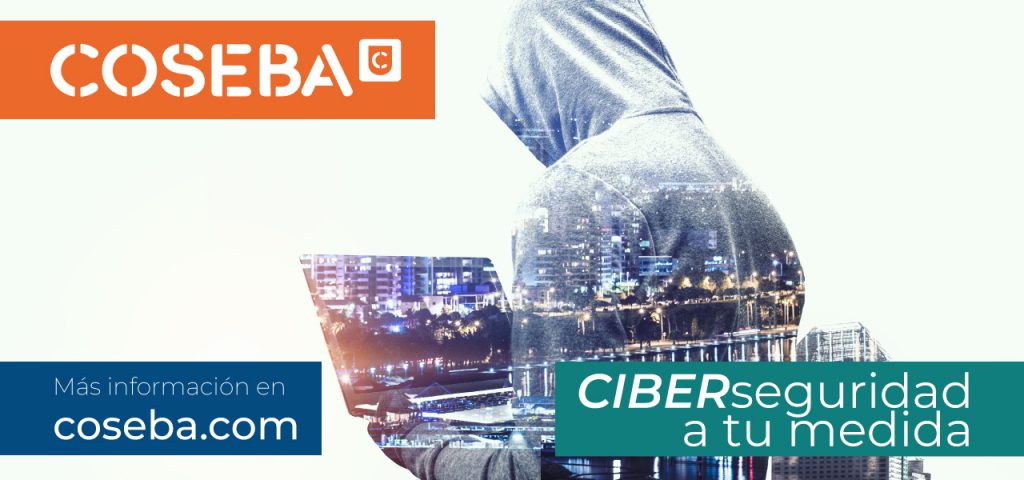 seguro-ciber