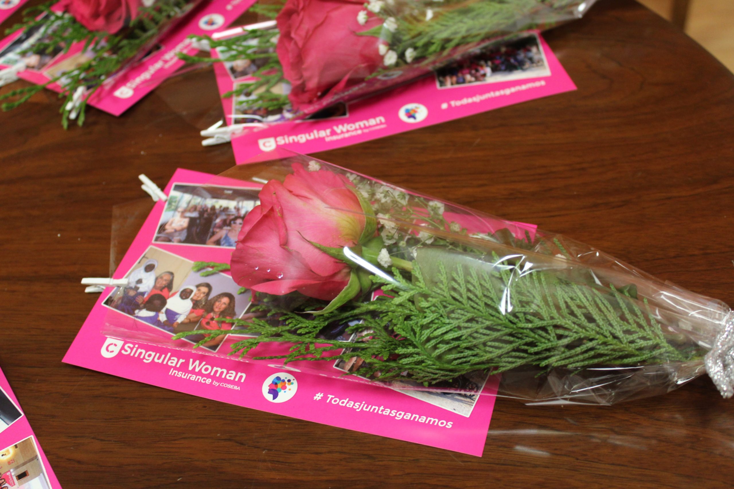 Regalo reunión singular women, rosa